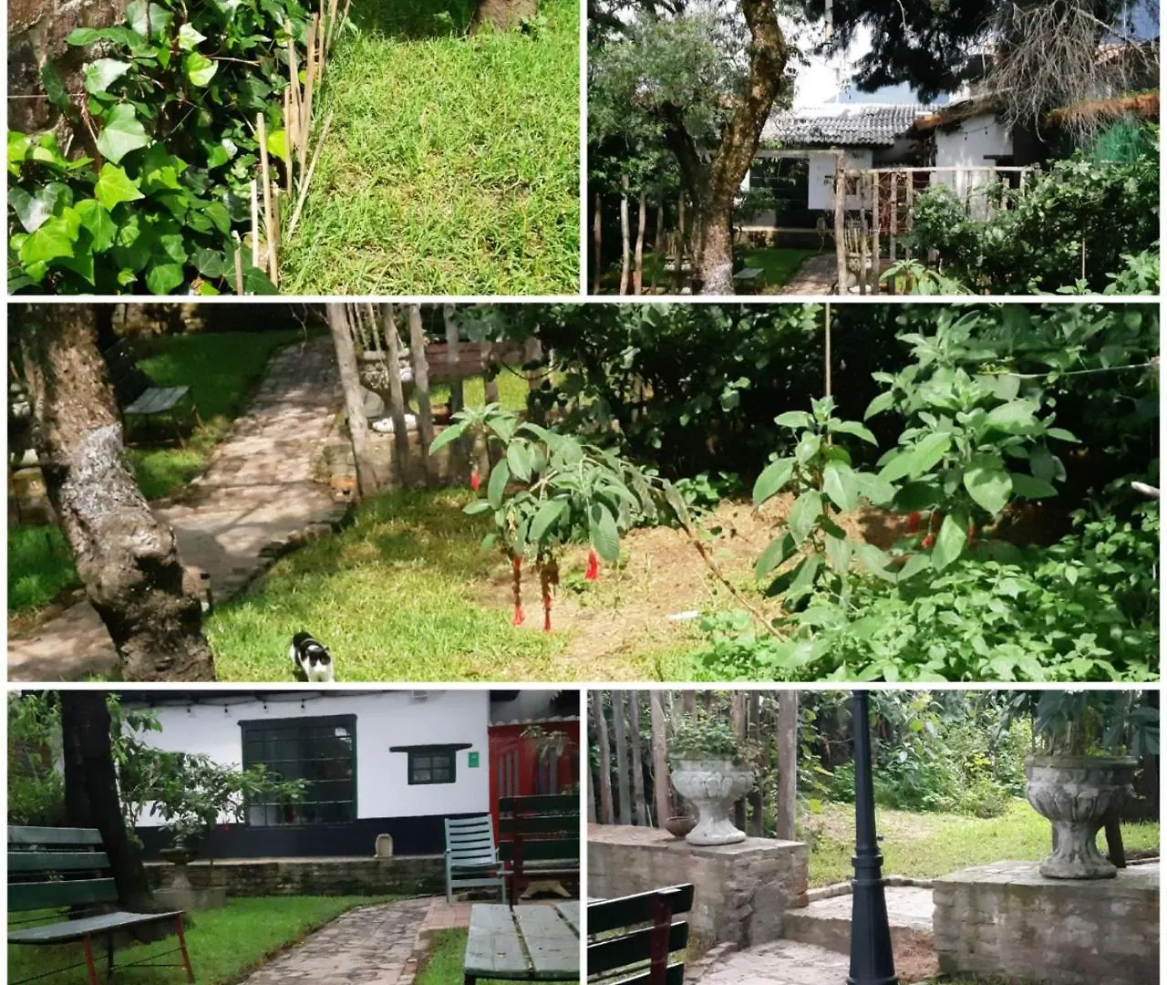 Cedron Hostel Bogota